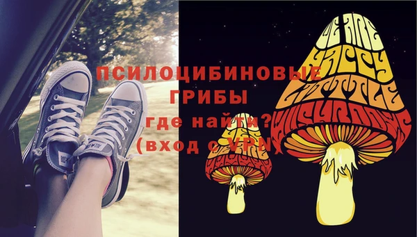 хмурый Белоозёрский