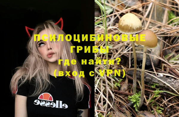 бошки Балахна