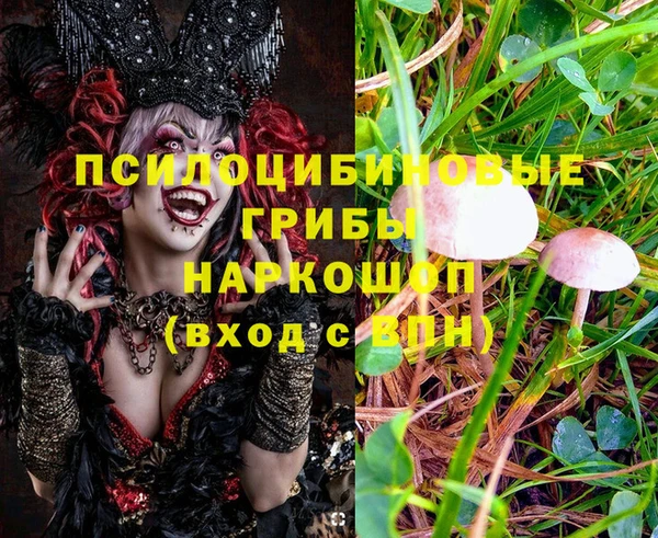 хмурый Белоозёрский